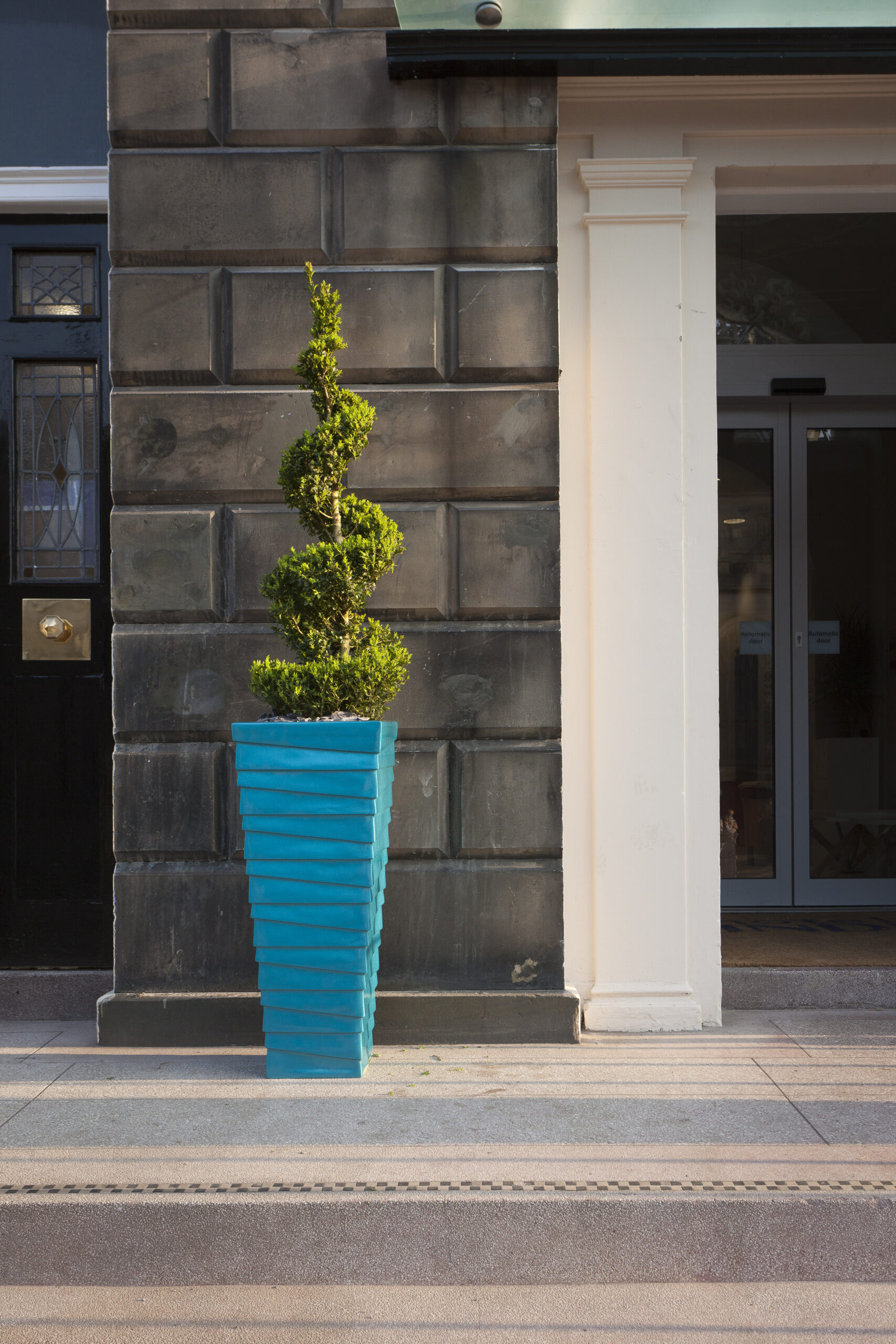 Blue vase with plant