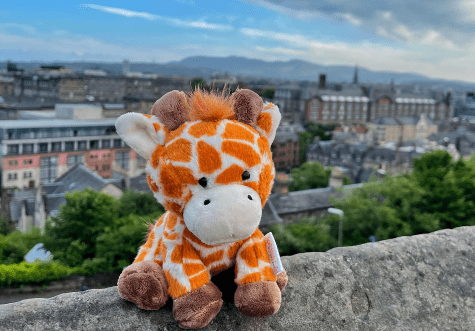 Giraffe teddy sat in front of city background.
