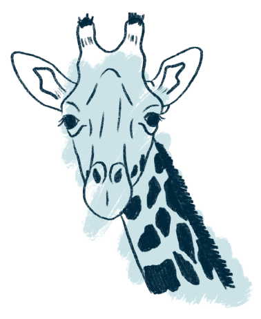 Illustration of a giraffe.