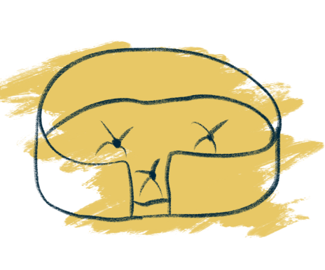 Mustard dog bed illustration.
